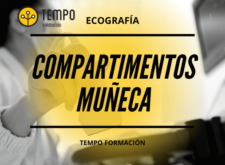 compartimentos-de-la-muneca-y-ecografia